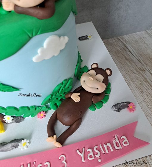3-yas-safari-tasarim-pasta