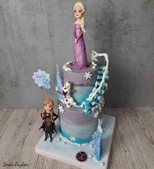 Elsa-Dogum-Gunu-Pastasi