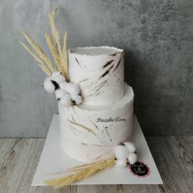 Natural-Cake-Nisan-Pastasi