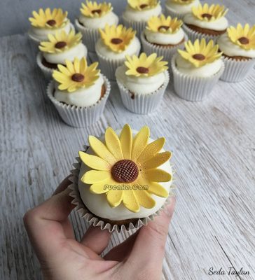 Papatya Cakepops Ankara