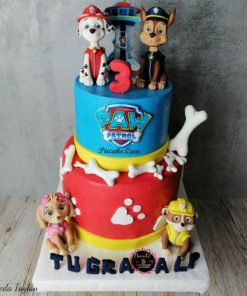 Paw-Patrol-Cizgi-Film-Pasta