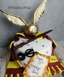 Hary Potter Tasarım Pasta