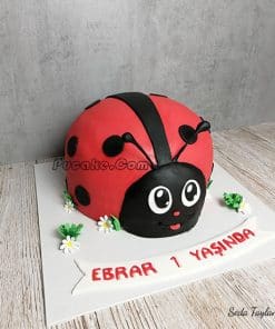 Uğur Böceği Butik Pasta