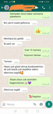Pucake-Yorum-19