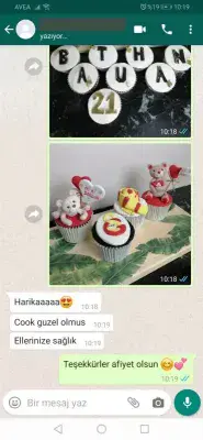 Pucake-Yorum-7