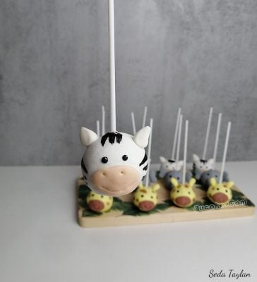 Zebra Cakepops Diyatları