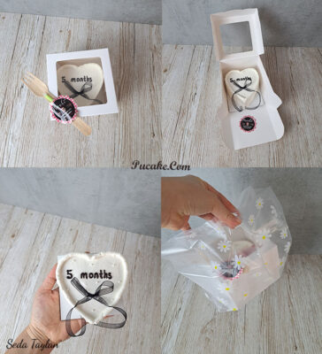 bento-cake-5-months